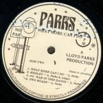 Lloyd Parks – What More Can I Do LP Plak - Görsel 4