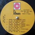 Erol Evgin – İşte Öyle Bir Şey LP Plak - Görsel 3