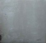Sainkho Namtchylak – Cyberia 2LP Plak - Görsel 2