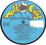 Lakim Shabazz – The Lost Tribe Of Shabazz LP Plak - Görsel 4