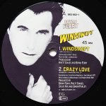 Bryan Ferry – Windswept 12'' Maxi Single Plak - Görsel 3