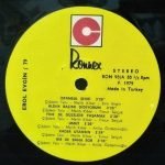 Erol Evgin – 79 LP Plak - Görsel 3