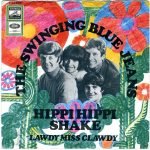 The Swinging Blue Jeans ‎– Hippi Hippi Shake Te 45lik Plak