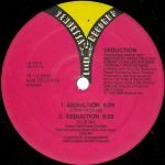 Seduction – Seduction 12'' Maxi Single Plak (Early House) - Görsel 4