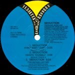 Seduction – Seduction 12'' Maxi Single Plak (Early House) - Görsel 3