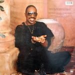 Stevie Wonder –  In Square Circle LP Plak - Görsel 2