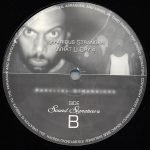 Theo Parrish – Parallel Dimensions 2LP Plak - Görsel 3