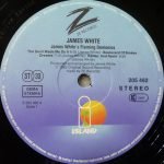 James White – James White's Flaming Demonics LP Plak - Görsel 3