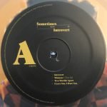 Little Simz – Sometimes I Might Be Introvert 2LP Renkli Plak - Görsel 3