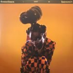 Little Simz – Sometimes I Might Be Introvert 2LP Renkli Plak