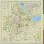 Oh No – Dr. No's Ethiopium 2LP Plak - Görsel 2