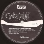 Roy Davis Jr. – Gabrielle 12" Maxi Single Plak (Chicago House)