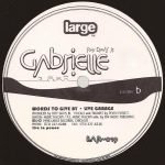 Roy Davis Jr. – Gabrielle 12" Maxi Single Plak (Chicago House) - Görsel 2