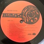 Wayne Davis – Wayne Davis LP Plak - Görsel 2