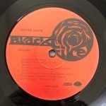 Wayne Davis – Wayne Davis LP Plak - Görsel 3