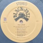 Walter Bishop, Jr.'s 4th Cycle – Keeper Of My Soul LP Plak - Görsel 3