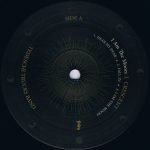 Tedeschi Trucks Band – I Am The Moon: I. Crescent LP Plak - Görsel 3
