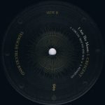 Tedeschi Trucks Band – I Am The Moon: I. Crescent LP Plak - Görsel 4