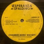 Esperanza Spalding – Chamber Music Society 2LP Plak - Görsel 4