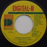 Shinehead – Ragga Muffin 45lik Plak (Dancehall)
