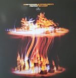 Irreversible Entanglements – Protect Your Light LP Plak