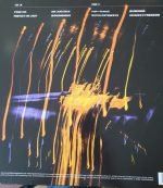 Irreversible Entanglements – Protect Your Light LP Plak - Görsel 2