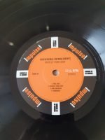 Irreversible Entanglements – Protect Your Light LP Plak - Görsel 3