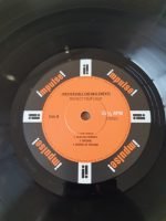 Irreversible Entanglements – Protect Your Light LP Plak - Görsel 4