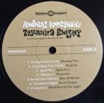 Andrzej Korzyński – Tajemnica Enigmy (Secret Enigma - 1968-1981) 2LP Plak - Görsel 3