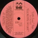 "Little Louie" Vega Feat. Blaze – Elements Of Life 12" Maxi Single Plak (Early House)