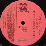 "Little Louie" Vega Feat. Blaze – Elements Of Life 12" Maxi Single Plak (Early House) - Görsel 2