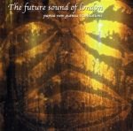 The Future Sound Of London – Papua New Guinea Translations CD (Techno)