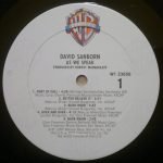 David Sanborn – As We Speak LP Plak - Görsel 3