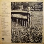 The Flying Burrito Bros. - The Flying Burrito Bros. LP Plak - Görsel 2