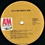 The Flying Burrito Bros. - The Flying Burrito Bros. LP Plak - Görsel 4