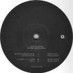 Rex Ilusivii – In The Moon Cage 2LP Plak - Görsel 3