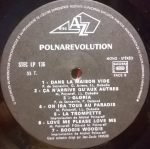 Michel Polnareff – Polnarevolution LP Plak - Görsel 3