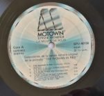 Stevie Wonder – The Woman In Red (Selecciones De La Banda Sonora Original De La Película)LP Plak - Görsel 4