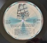 Stevie Wonder – The Woman In Red (Selecciones De La Banda Sonora Original De La Película)LP Plak - Görsel 3