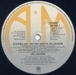 Joe Jackson – Stepping Out - The Very Best Of Joe Jackson LP Plak - Görsel 3