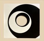 12" Maxi Single Swirl Karton Kapak 5li Paket