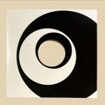 12" Maxi Single Swirl Karton Kapak 5li Paket