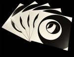 12" Maxi Single Swirl Karton Kapak 5li Paket - Görsel 2