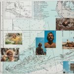 Jimmy Buffett – A1A LP Plak - Görsel 4