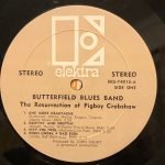 The Butterfield Blues Band – The Resurrection Of Pigboy Crabshaw LP Plak - Görsel 4