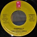 The Jones Girls – Dance Turned Into A Romance 45lik Plak - Görsel 2