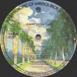 Rod Stewart – A Night On The Town LP Plak - Görsel 6
