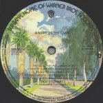 Rod Stewart – A Night On The Town LP Plak - Görsel 5