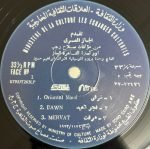 Salah Ragab & The Cairo Jazz Band – Egypt Strut LP Plak - Görsel 3