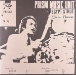 Salah Ragab & The Cairo Jazz Band – Egypt Strut LP Plak
